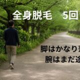 全身脱毛5回目の経過をイメージした、緑の遊歩道を歩く40代男性の後ろ姿
