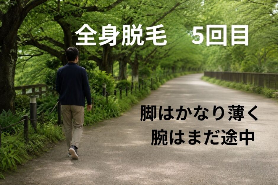 全身脱毛5回目の経過をイメージした、緑の遊歩道を歩く40代男性の後ろ姿